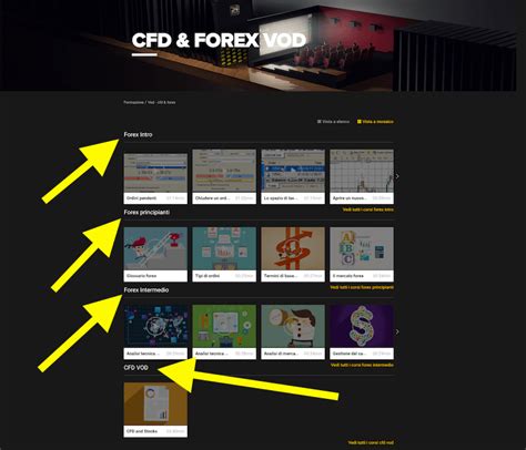 Metadata, Trading Strategy, Fee
