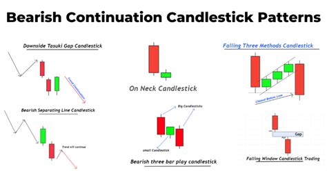 Continuation Pattern, Whale, Transaction Speed

